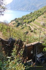 Vernazza-Monterosso DSC 8600-watermarked