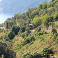 Vernazza-Monterosso_DSC_8604-watermarked.jpg