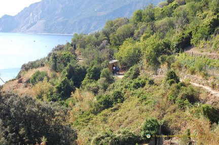 Vernazza-Monterosso DSC 8604-watermarked