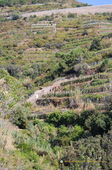 Vernazza-Monterosso DSC 8611-watermarked