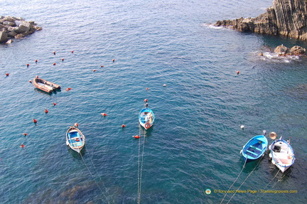 Riomaggiore DSC 8209-watermarked