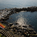 Riomaggiore AJP 5125-watermarked (585 visits) Riomaggiore AJP 5125-watermarked