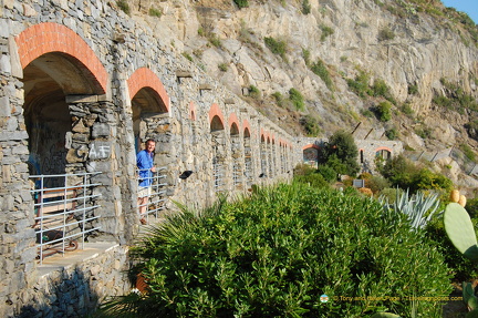 Riomaggiore DSC 8374-watermarked