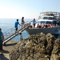 Manarola AJP 5173-watermarked (1131 بازدید) Manarola AJP 5173-watermarked