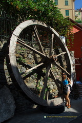 Manarola AJP 5198-watermarked