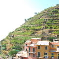 Manarola AJP 5211-watermarked (634 visite) Manarola AJP 5211-watermarked