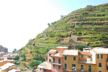 Manarola AJP 5211-watermarked