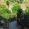 Manarola AJP 5245-watermarked (580 visitas) Manarola AJP 5245-watermarked