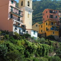 Manarola DSC 8291-watermarked (592 visitas) Manarola DSC 8291-watermarked