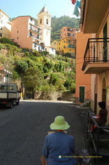 Manarola DSC 8293-watermarked