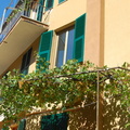 Manarola DSC 8303-watermarked