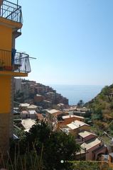 Manarola DSC 8306-watermarked