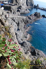 Manarola DSC 8338-watermarked