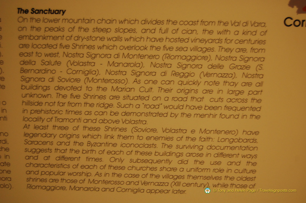 Manarola DSC 8353-watermarked