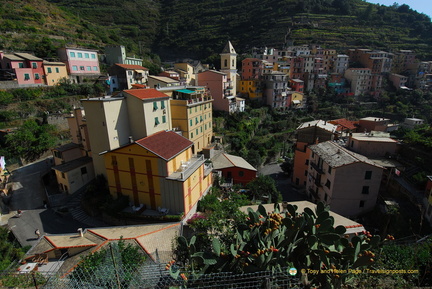 Manarola AJP 5249-watermarked