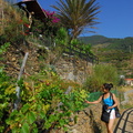 Manarola AJP 5261-watermarked