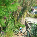 Manarola_AJP_5278-watermarked.jpg