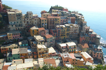 Manarola DSC 8318-watermarked