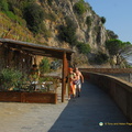 Manarola AJP 5300-watermarked (633 Besuche) Manarola AJP 5300-watermarked
