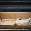 Milan DSC08418-watermarked (711 ביקורים) Milan DSC08418-watermarked