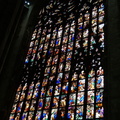 Milan DSC08430-watermarked (638 visits) Milan DSC08430-watermarked
