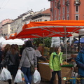 Milan DSC08577-watermarked (555访问量) Milan DSC08577-watermarked