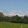 Turin DSC08734-watermarked (449 odwiedzin) Turin DSC08734-watermarked