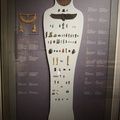 DSC08955-watermarked (689 بازدید) DSC08955-watermarked