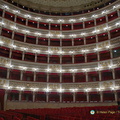 DSC00631-watermarked-topaz (751 visits) DSC00631-watermarked-topaz