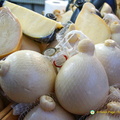 DSC00591-watermarked (535 heimsóknir) DSC00591-watermarked