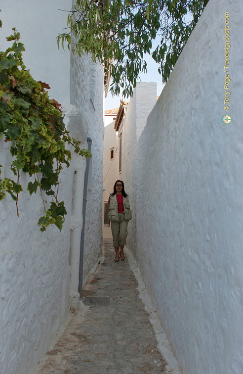 DSC 0693-watermarked-topaz (723 visits) DSC 0693-watermarked-topaz