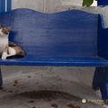 DSC 0750-watermarked (636 visits) DSC 0750-watermarked