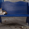 DSC 0751-watermarked (620 visits) DSC 0751-watermarked