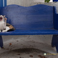 DSC 0752-watermarked (629 visits) DSC 0752-watermarked