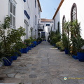 DSC 0754-watermarked (617 visits) DSC 0754-watermarked