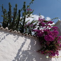 DSC 0771-watermarked (616 visits) DSC 0771-watermarked