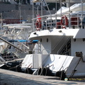 DSC 0800-watermarked (631 visits) DSC 0800-watermarked