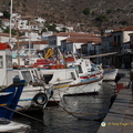 DSC 0806-watermarked