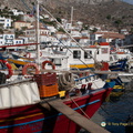 DSC 0807-watermarked