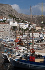 DSC 0808-watermarked