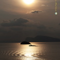 DSC 0815-watermarked