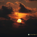 DSC 0826-watermarked