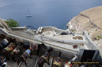 Fira Donkey Station