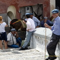 Fira Donkey handlers (1064 heimsóknir) Fira Donkey handlers waiting for business Fira Donkey handlers
