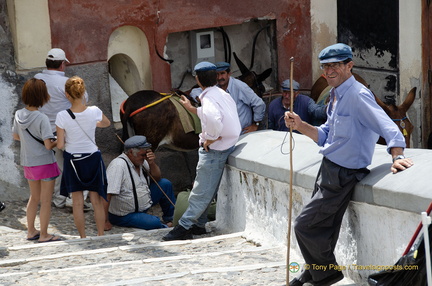 Fira Donkey handlers