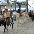 Fira_AJP_6357-watermarked-topaz.jpg