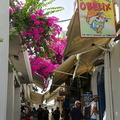 Best Souvlaki in Town (801 visits) Obelix claims to have the best Souvlaki in Town Best Souvlaki in Town