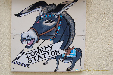 Fira Donkey Station