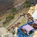 Fira's Donkey Station (1134 odwiedzin) Get your donkey rides from this Donkey Station Fira's Donkey Station