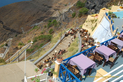 Fira's Donkey Station 